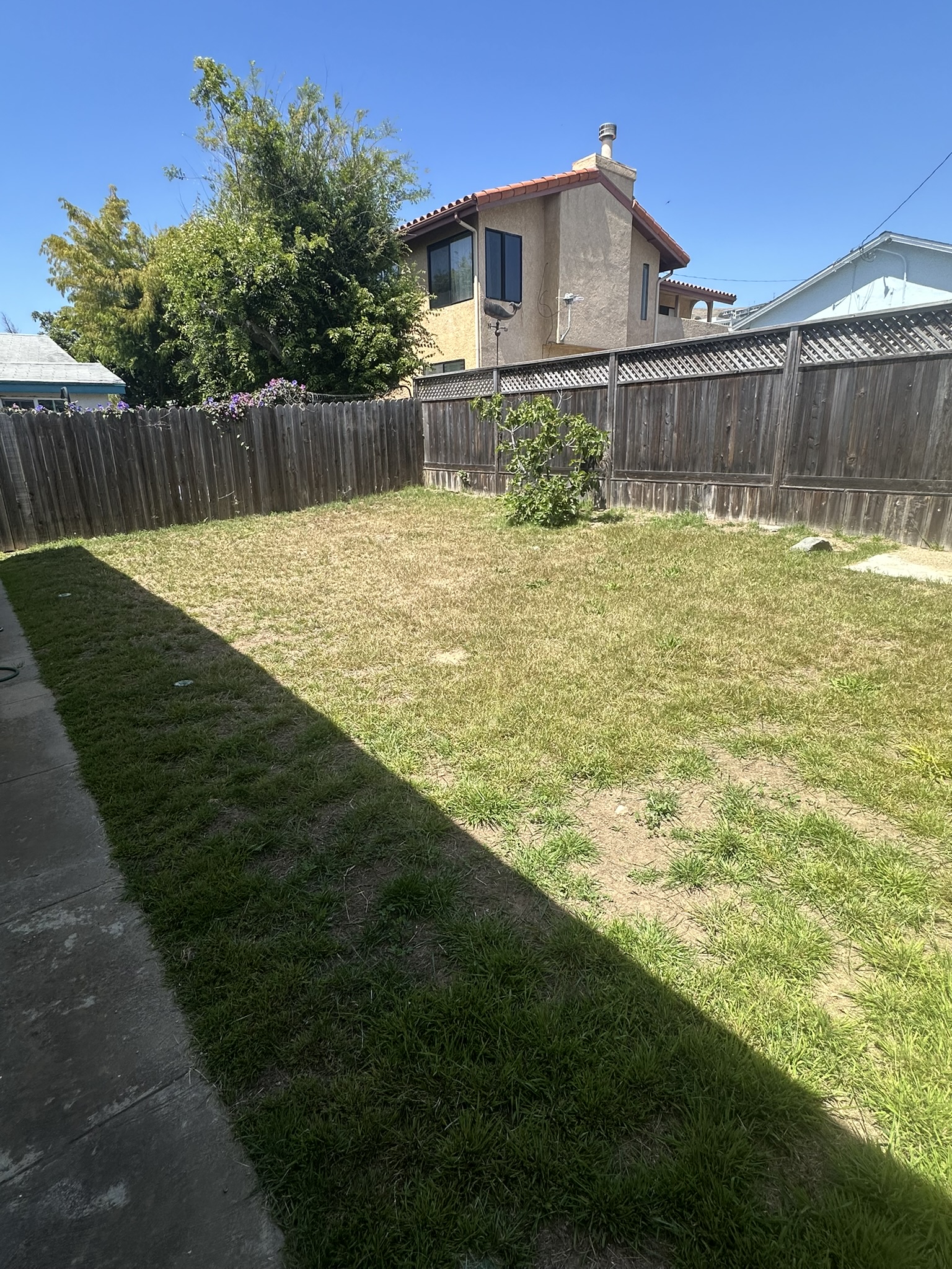 Backyard