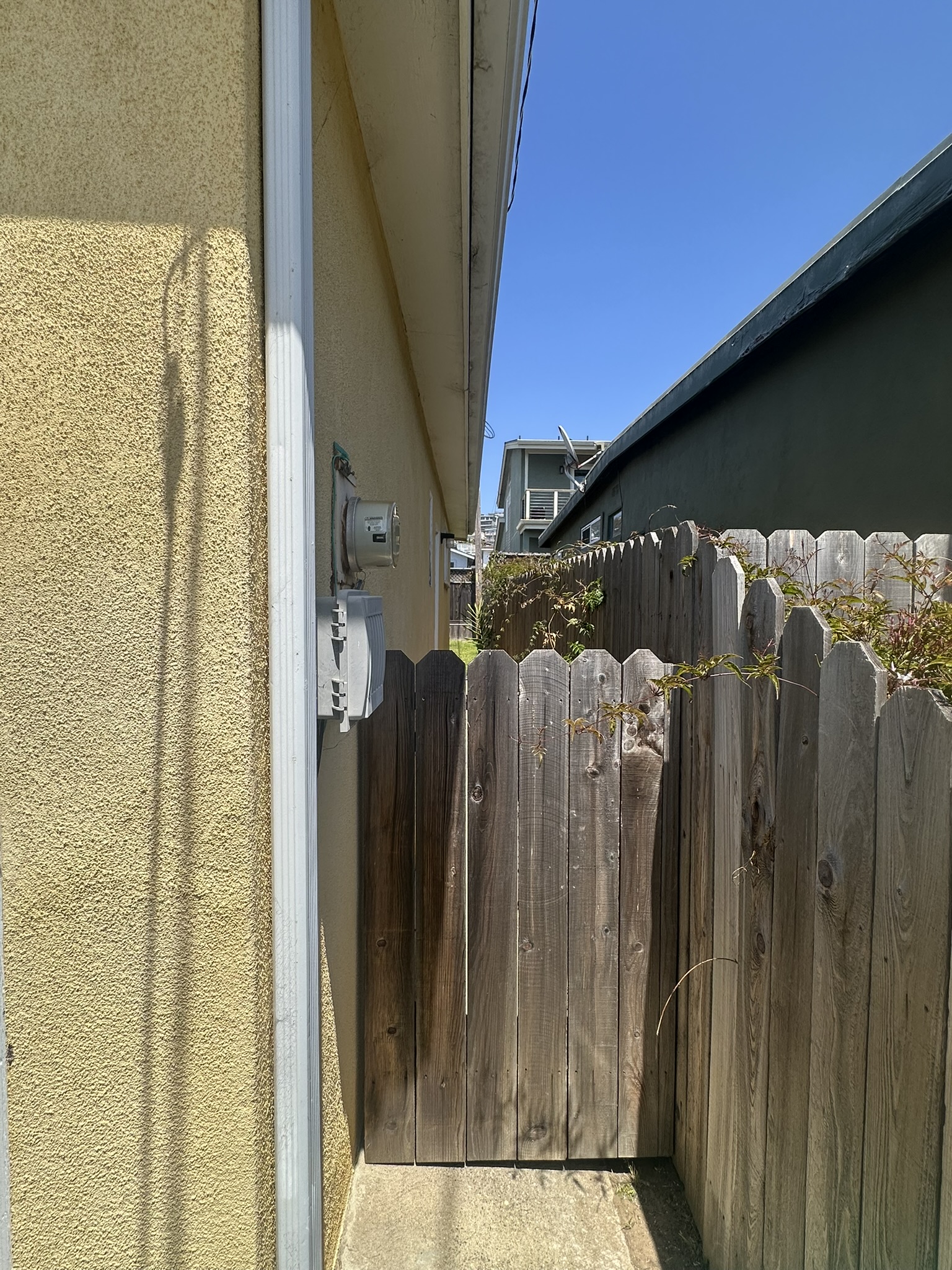 Right side of house